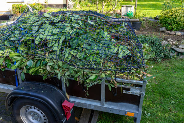 Best Commercial Junk Removal  in Savannah, TX